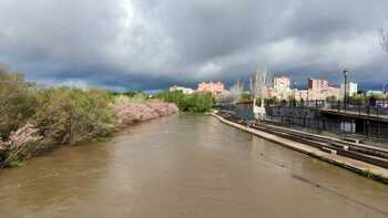 La lluvia cuadruplica el caudal del Tajo e inunda Los Arenales