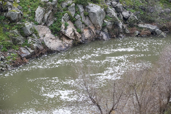 El río Tajo empieza el año con nuevos episodios de espumas