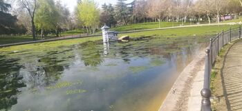 El lago de La Alameda se limpiará para ferias